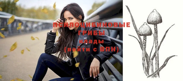 стаф Вяземский