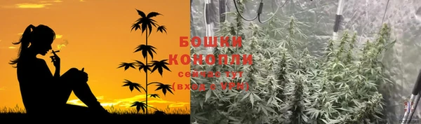 крисы Вязники