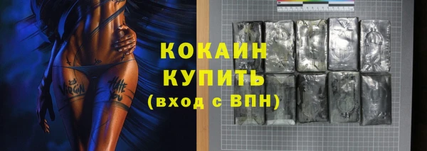 стаф Вяземский