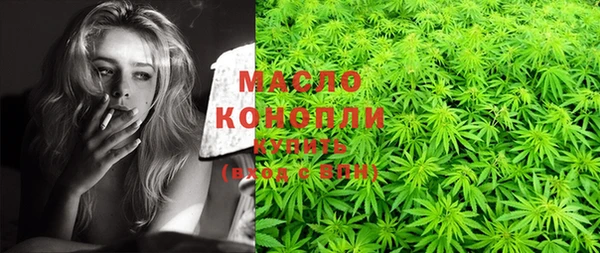 стаф Вяземский