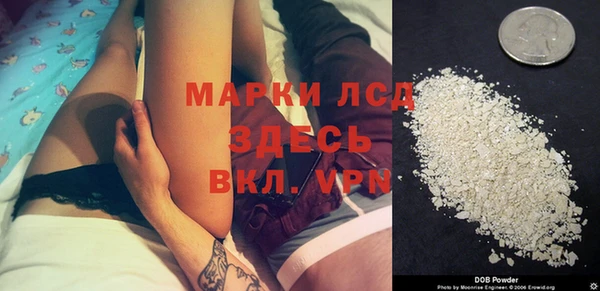 стаф Вяземский
