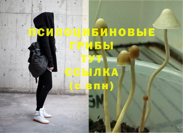 mdpv Вязьма