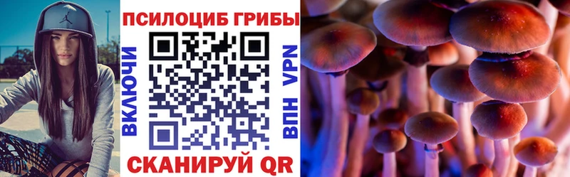 где можно купить   Дмитровск  OMG tor  Галлюциногенные грибы прущие грибы 